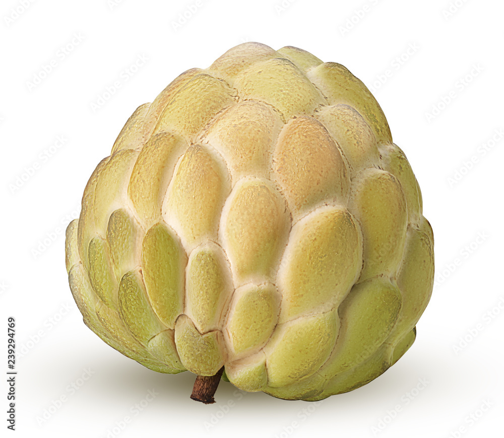 Fototapeta premium Sugar-apple, fruit of Annona squamosa cherimoya