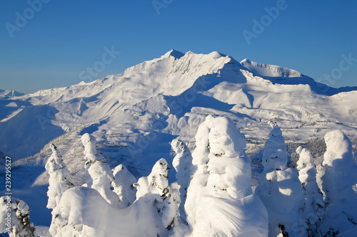 Snowcovered trees in The Bugaboos, a mountain range in the Purcell Mountains, Bugaboo Provincial Park, Britisch Columbia photo