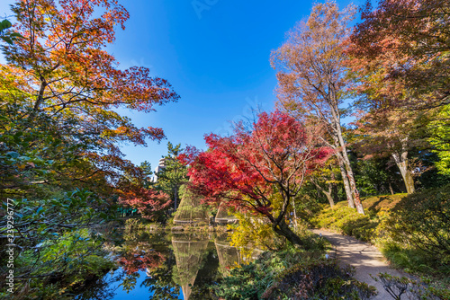 紅葉の甘泉園公園 上池の風景
