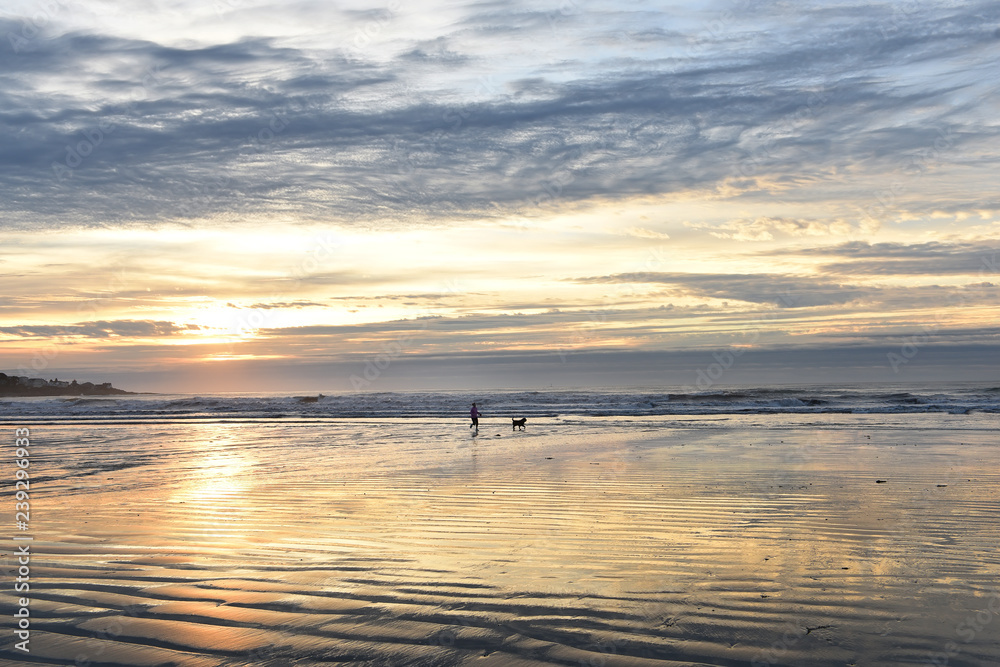 Early morning on the coast of the Atlantic Ocean. Woman doing jogging with a dog. USA. Maine.
Early morning on the coast of the Atlantic Ocean. Woman doing jogging with a dog. USA. Maine.