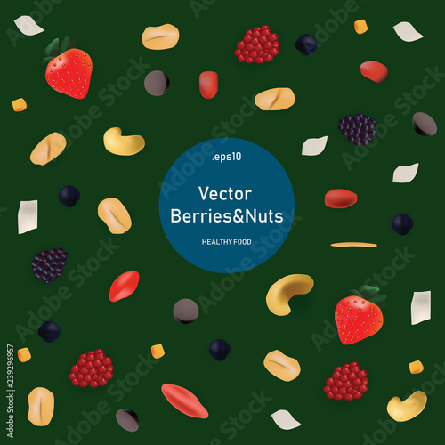 Vector realism style set healthy food. Nuts and berries