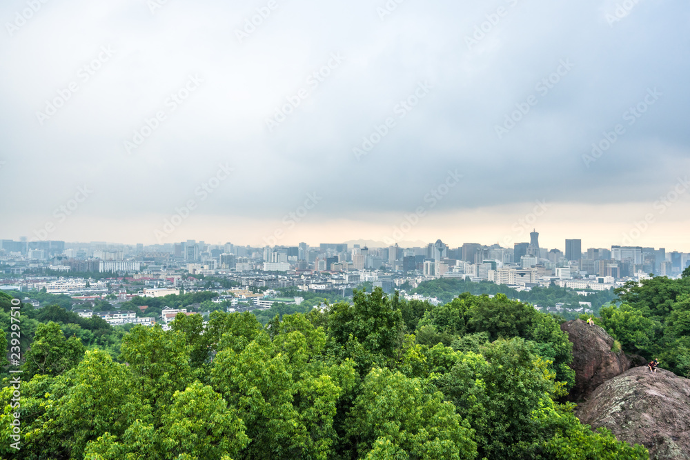 panoramic city skyline