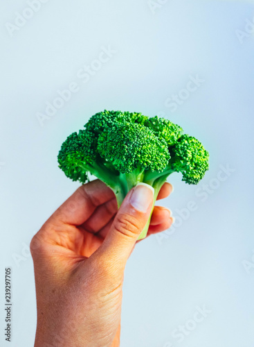 A fresh tasty green broccoli cabbage in a hand. A bright colorful natural beautiful delicious broccoli hold in hand, isolated.
