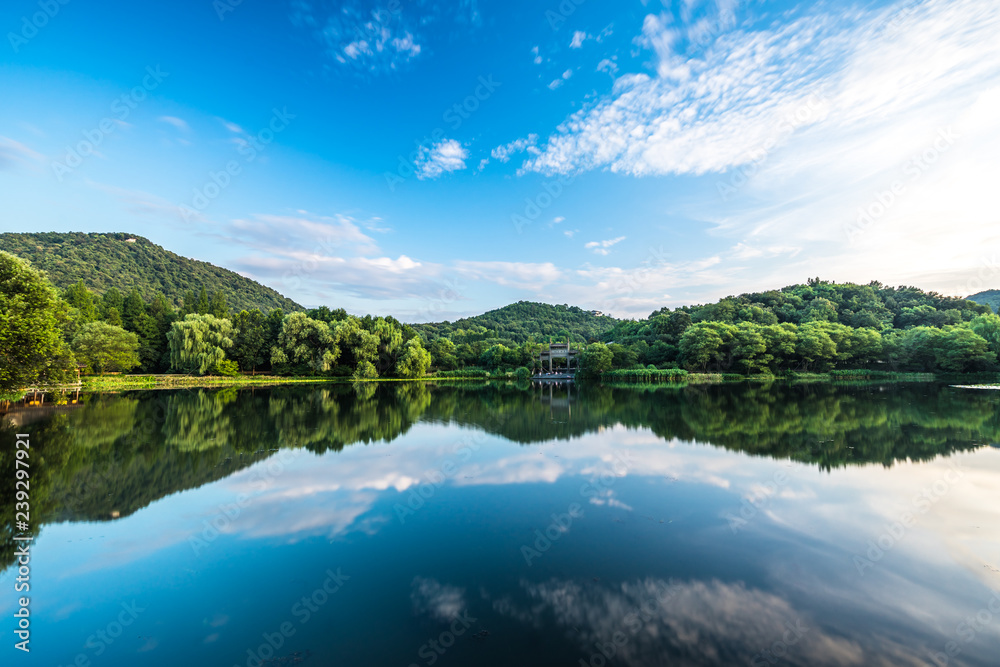 lake in the park