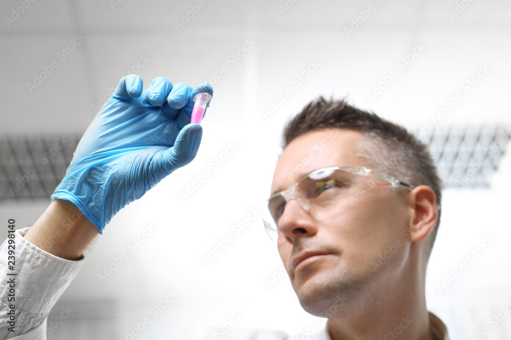 Analiza laboratoryjna.  Laborant ogląda preparat w próbówce. - obrazy, fototapety, plakaty 