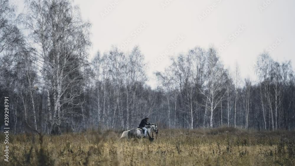 Male Equestrian Riding A Horse. Rider Sitting trot on big white stallion. Horseback riding on the fiield with Autumn forest. Male Equestrian Riding A Horse. Rider Sitting trot on big white stallion. Horseback riding on the fiield with Autumn forest.
