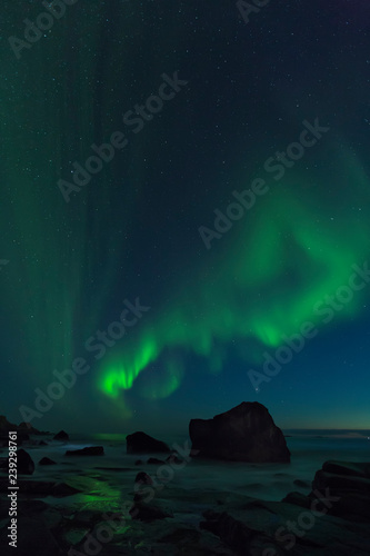 Aurora Borealis  northern lights at Utakleiv beach in summer night  Lofoten islands  Norway