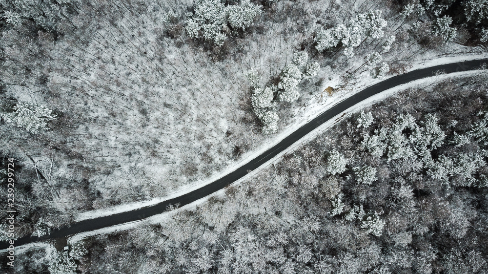 Aerial view of snow covered road in winter forest