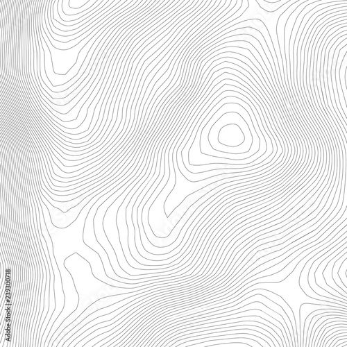 Topographic abstract contour map  background. Elevation map. Hollow curved outline. Topological map vector.Geography and topography vector illustration plan.