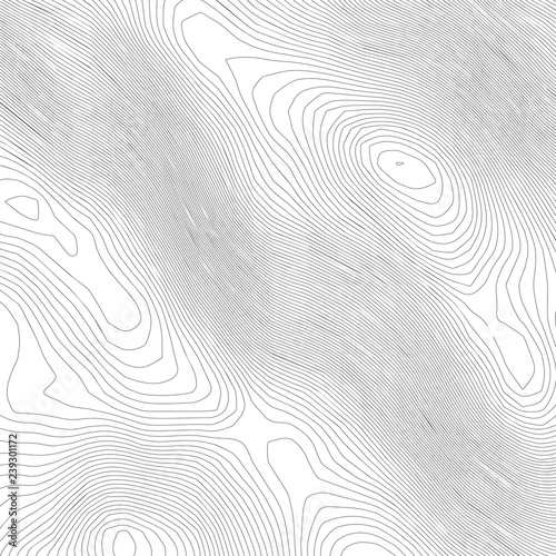 Wallpaper Mural Topographic abstract contour map  background. Elevation map. Hollow curved outline. Topological map vector.Geography and topography vector illustration plan. Torontodigital.ca