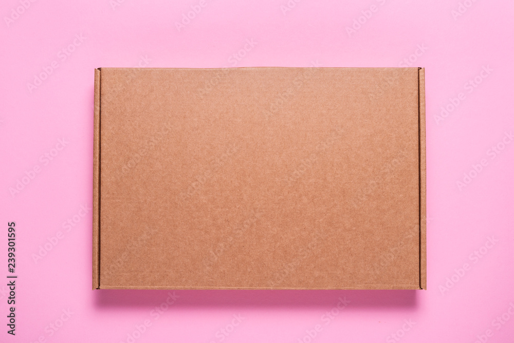 Empty new brown cardboard box Empty new brown cardboard box