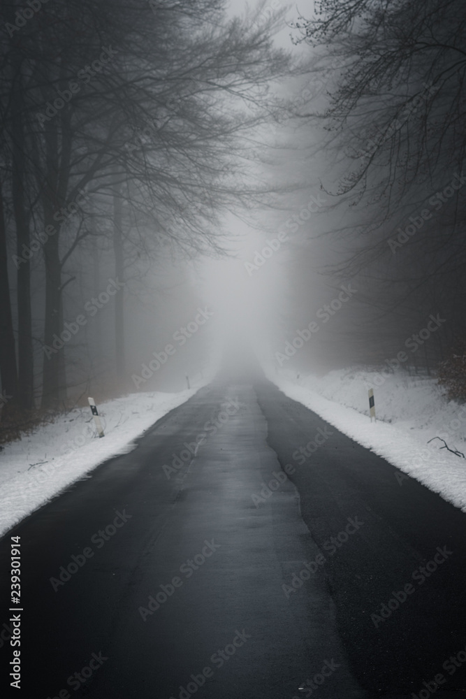 Obraz premium Landstraße durch Wald im Winter