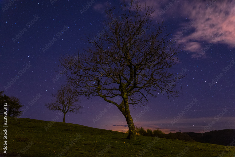 A night in the basque mountain named Aiako Harriak, at Irun, Basque Country. A night in the basque mountain named Aiako Harriak, at Irun, Basque Country.