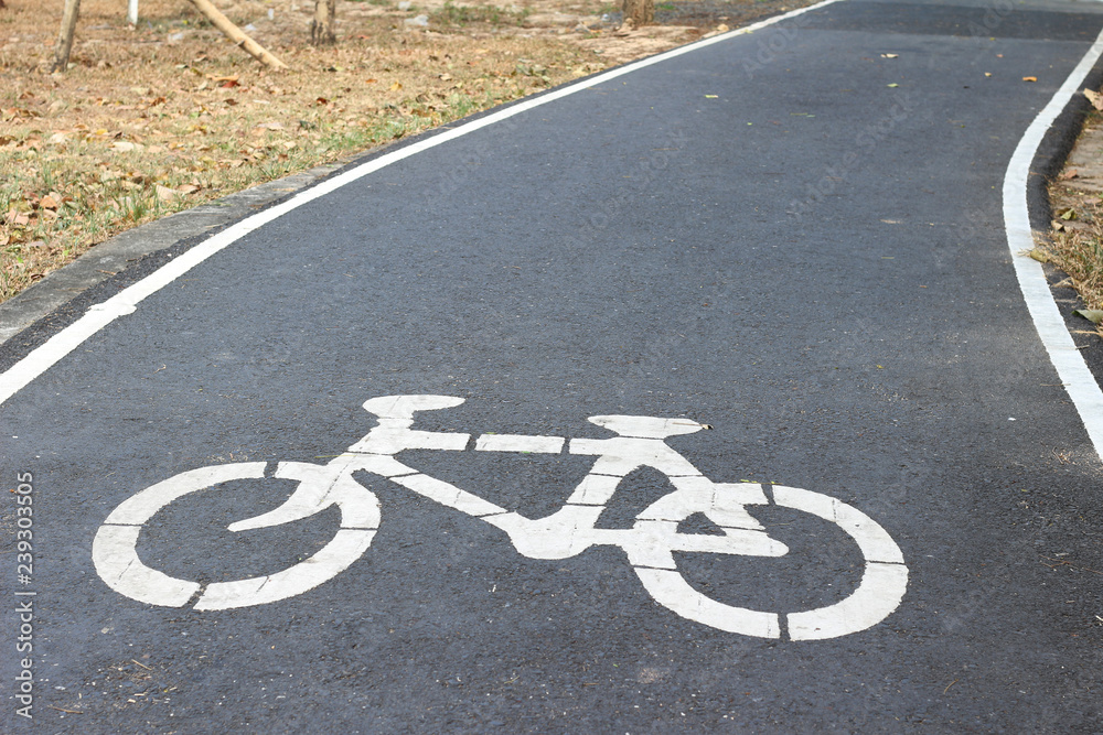 Obraz premium bicycle path at the park.