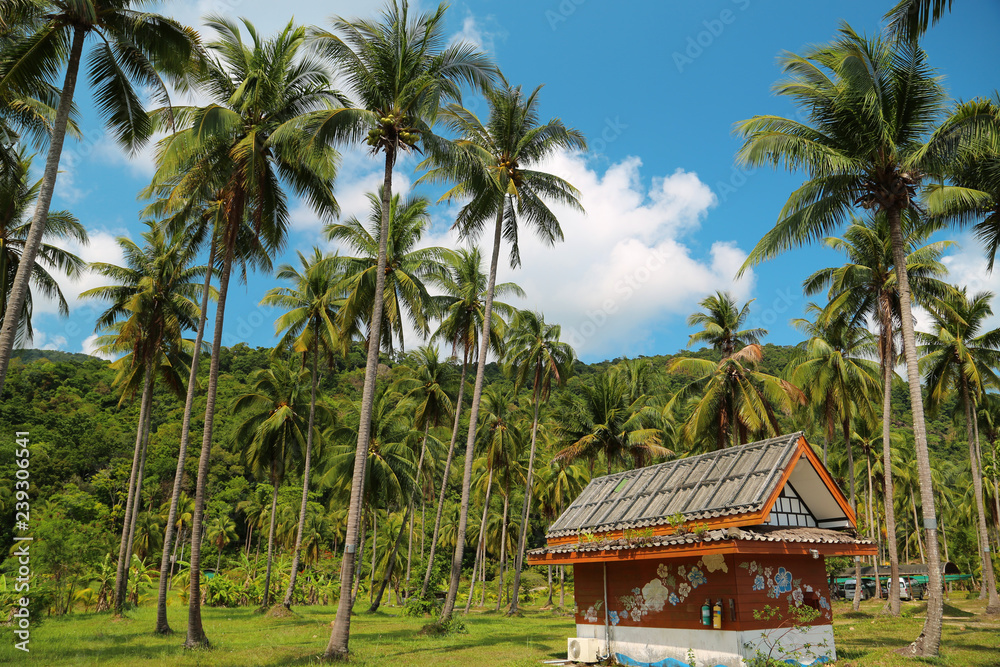Little house amongst palms on the Koh-Chang island, Thailand