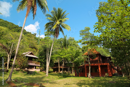 Little houses amongst palms on the Koh-Chang island, Thailand © Harmony Video Pro