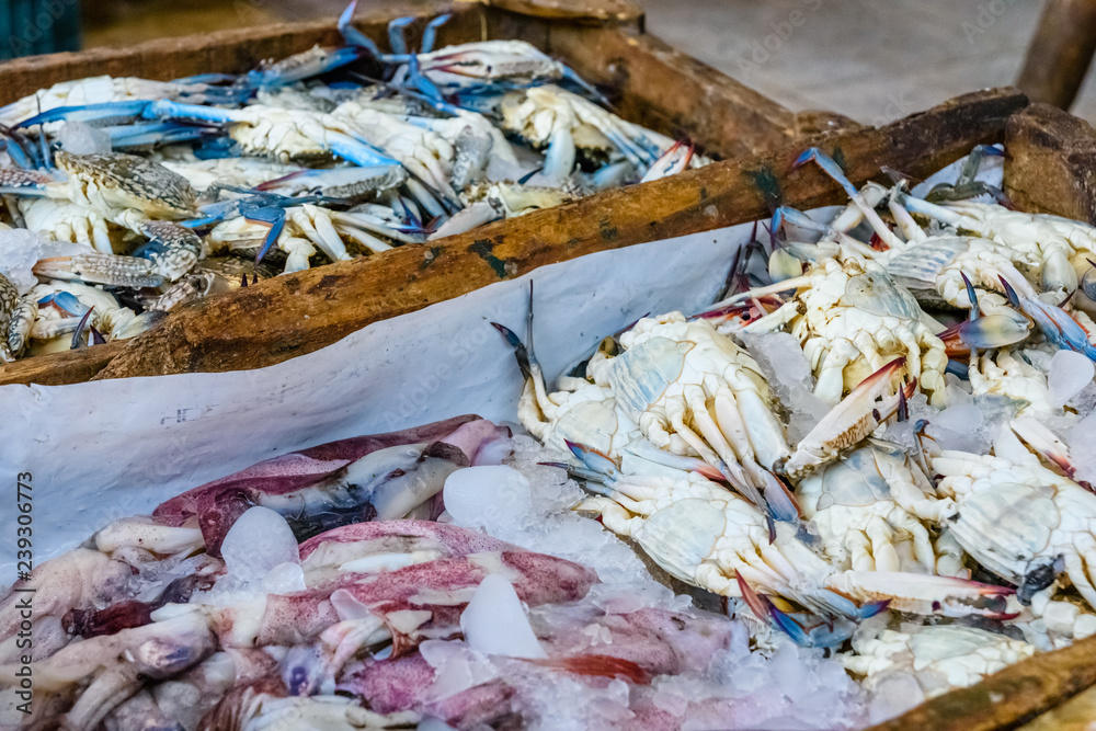 Blue crabs and squids on a fish market in a Hurghada city, Egypt
