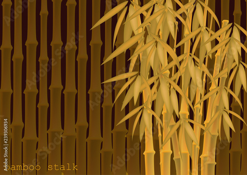 Abstract background of bamboo trees. Bamboo stalks. Vector illustration of tropical plants for your design.