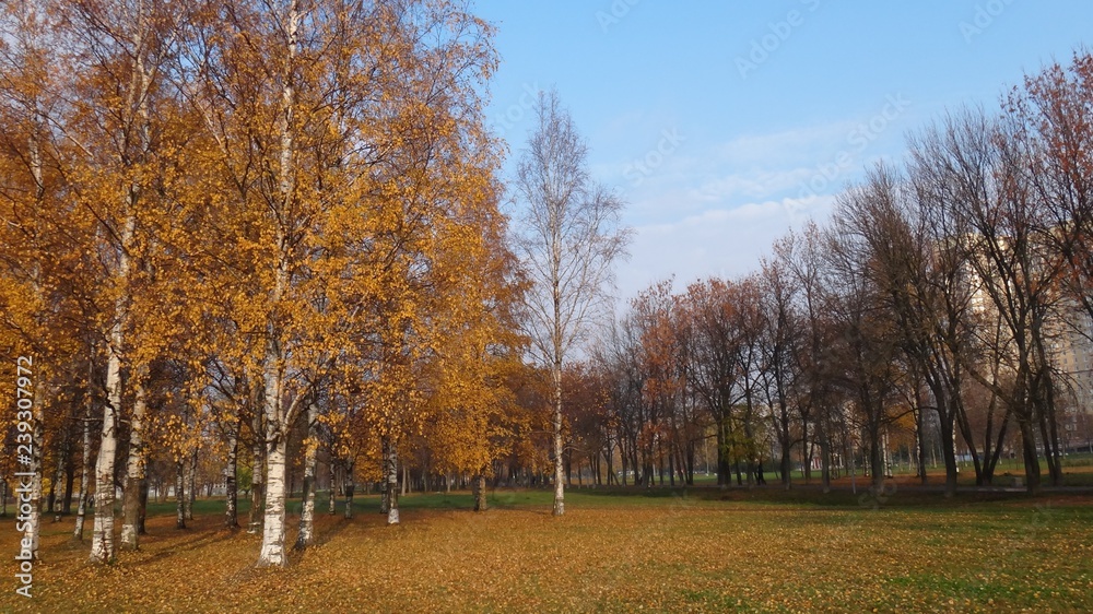 Autumn in Saint Petersburg parks in october 2018