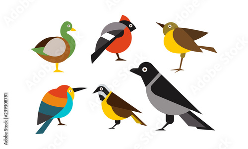 Birds set, duck, bullfinch, sparrow, tit, crow, titmouse vector Illustration