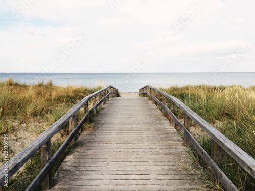 path to the beach © Anton