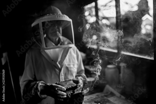 Wallpaper Mural beekeeper at work Torontodigital.ca