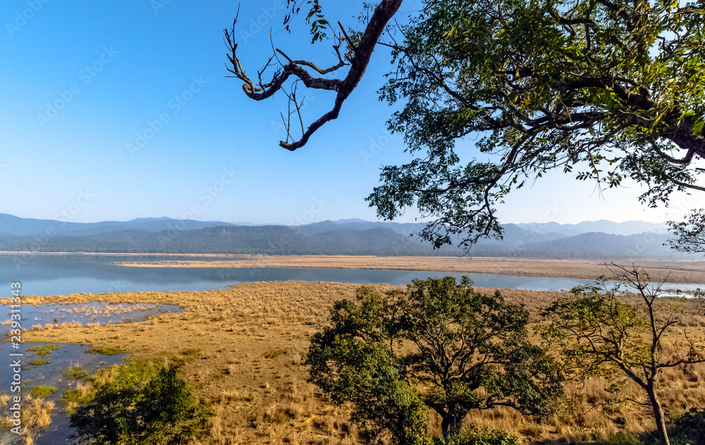 Panorama of Kosi River in Jim Corbett National Park, India - obrazy, fototapety, plakaty 
