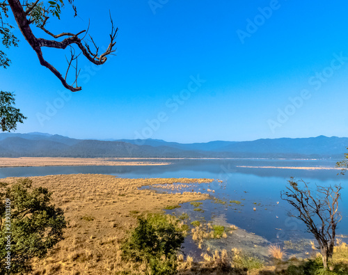 Panorama of Kosi River in Jim Corbett National Park, India photo