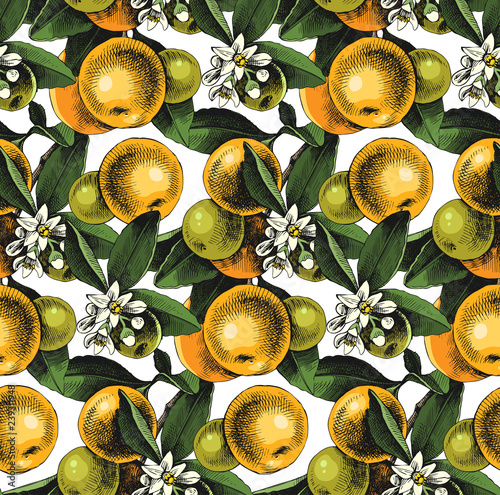 Seamless pattern with mandarin branches