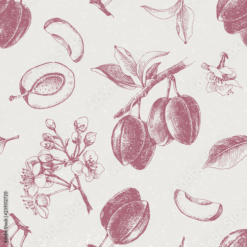 Seamless pattern with hand drawn plum flowers and fruits