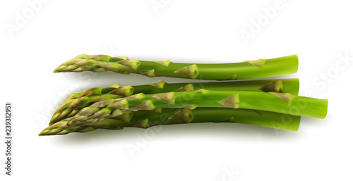 Bunch of Raw Garden Asparagus Isolated on White Background