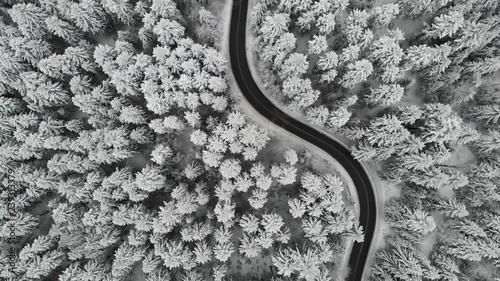 Flying over curvy road in forest after snowfall, winter landscape