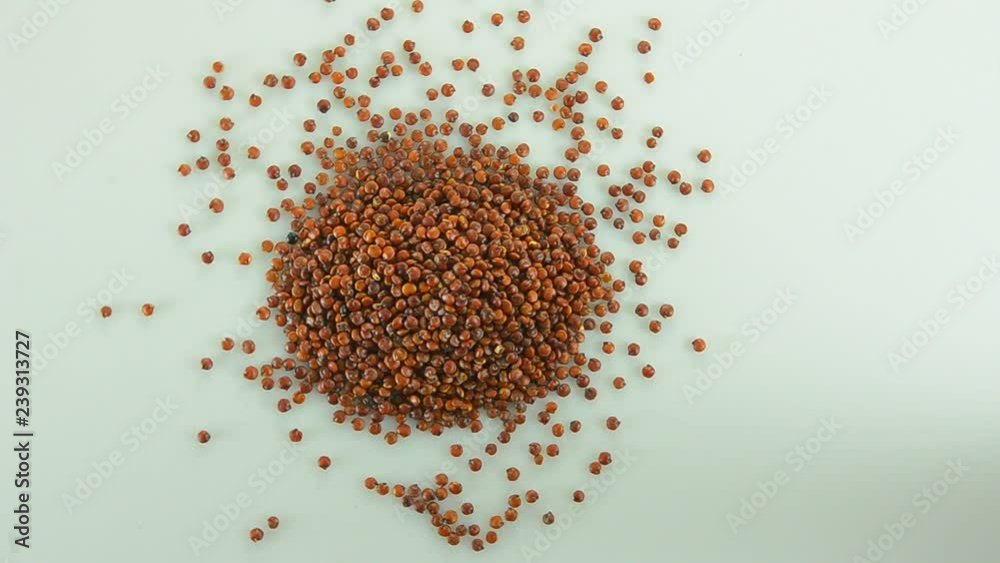 quinoa isolate on white background quinoa isolate on white background
