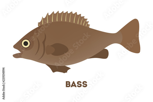 Bass fish from the lake or river