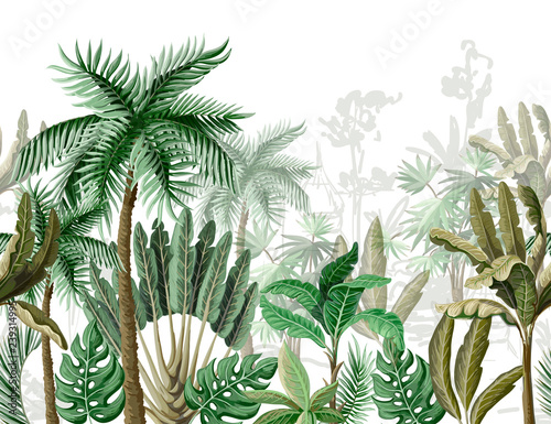 Seamless border with tropical tree such as palm, banana. Vector. © Yumeee