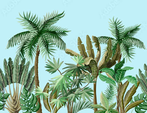 Seamless border with tropical tree such as palm, banana. Vector.