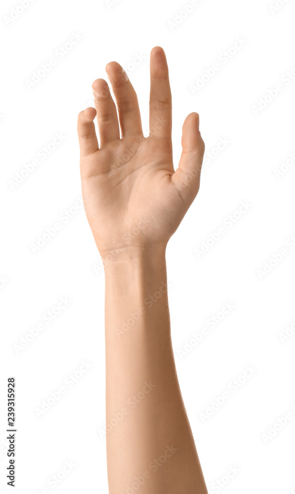 Female hand on white background Female hand on white background