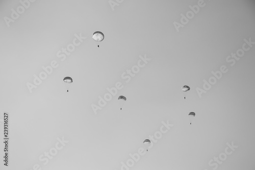 Black and white picture jump of paratrooper with white parachute, Military parachute jumper in the sky.