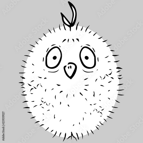 Fluffy chick icon. Vector illustration of cartoon chicken. Hand drawn funny fluffy chick.
