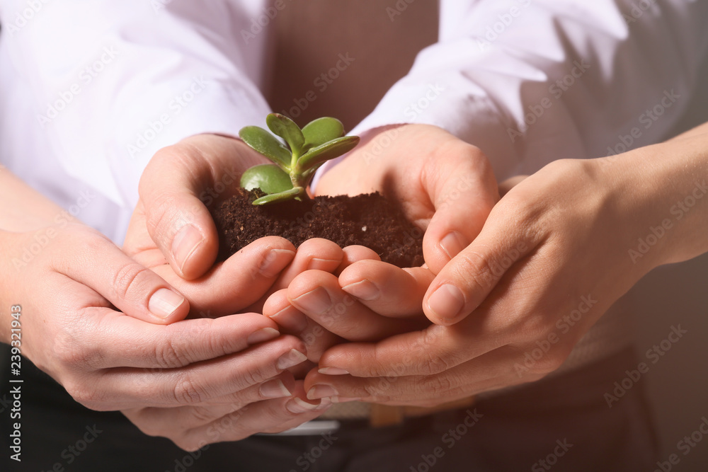 Business people holding green seedling with soil, closeup Business people holding green seedling with soil, closeup