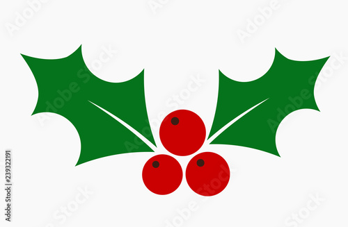 Christmas holly berries flat icon.