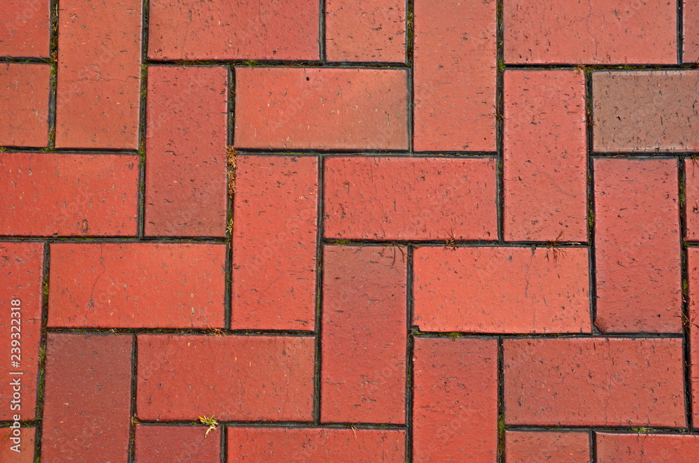 Obraz premium 煉瓦