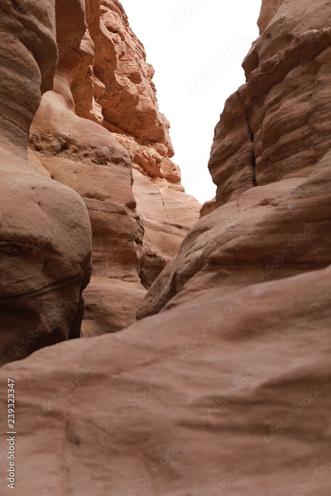 Fototapeta premium View on canyon from down