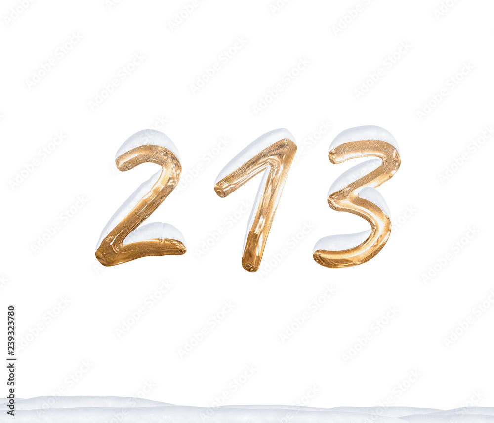 Gold Number 213 with Snow on white background Gold Number 213 with Snow on white background