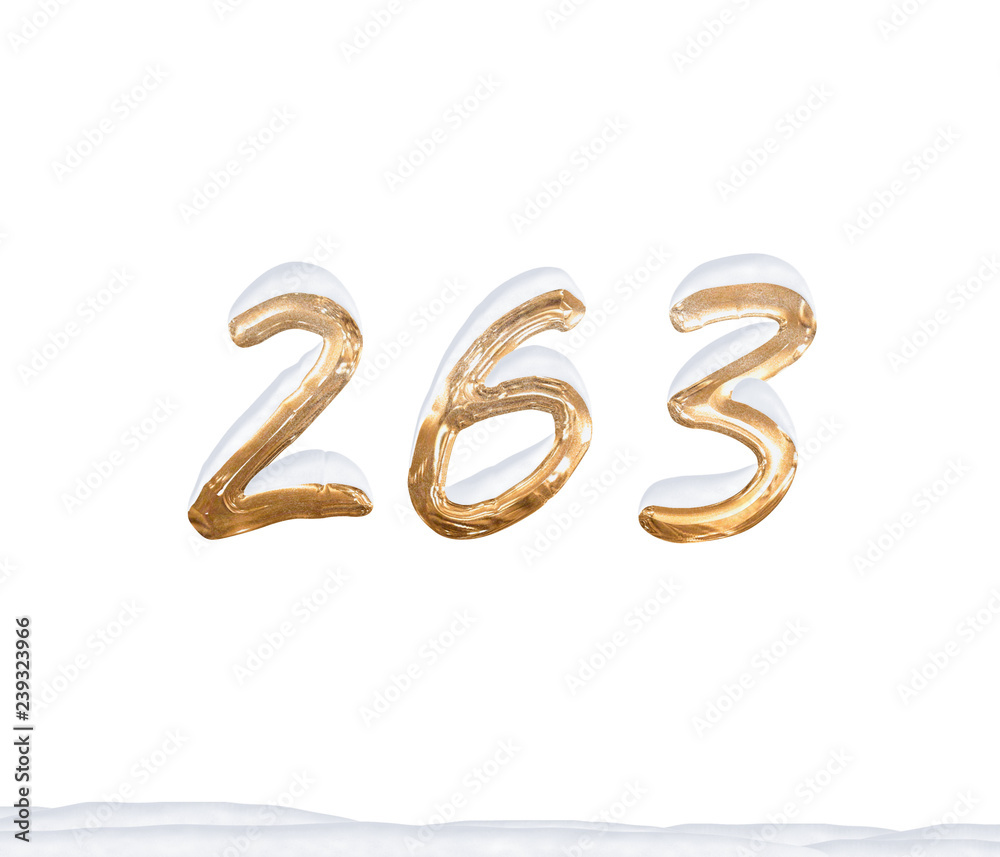 Gold Number 263 with Snow on white background Gold Number 263 with Snow on white background