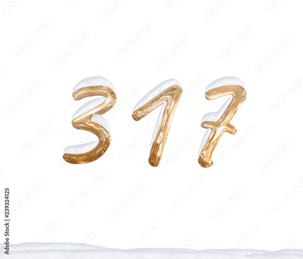 Gold Number 317 with Snow on white background