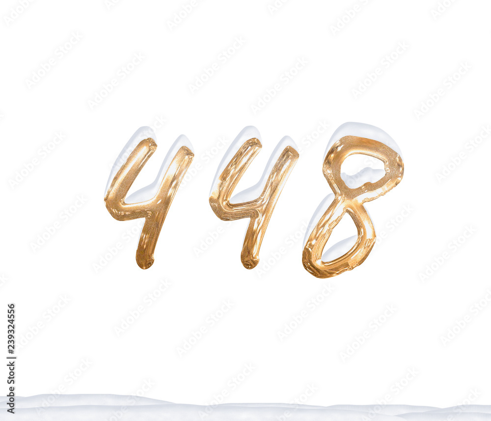 Gold Number 448 with Snow on white background Gold Number 448 with Snow on white background