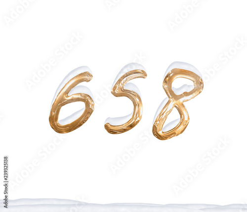Gold Number 658 with Snow on white background