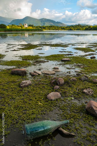 Empty wine glass bottle discarded in Killarney national park