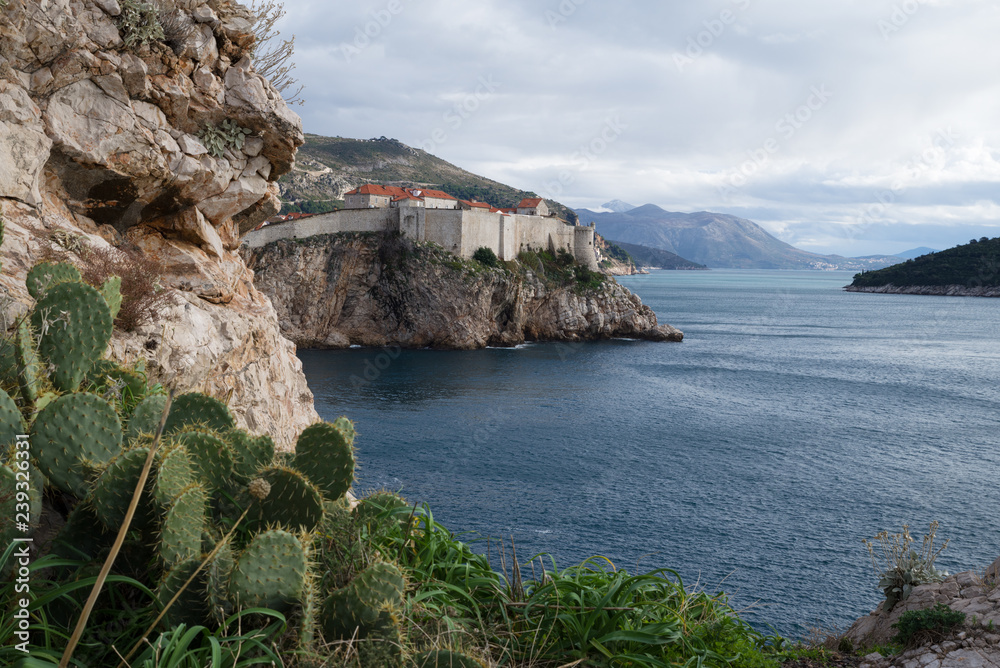 View of the Old City in Dubrovnik, in the foreground cactus and rock
